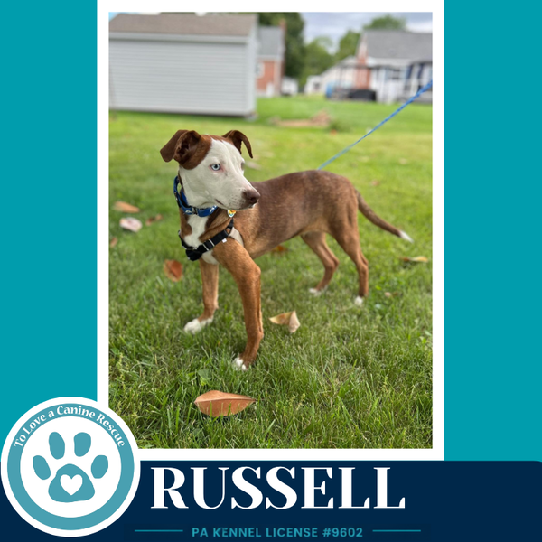 Russell 053026