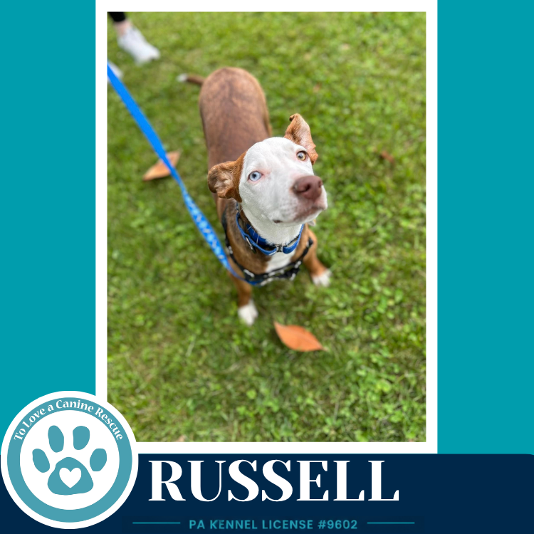 Russell 053026