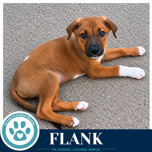 Flank (Rosie's Wranglers) 053026