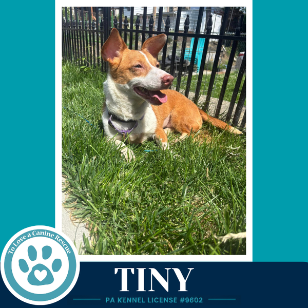 Tiny 060626
