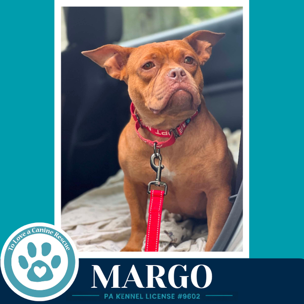 Margo 060626