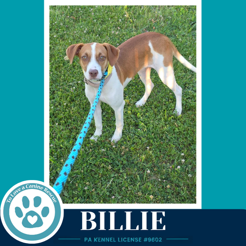 Billie 062026