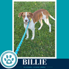 Billie 062026 - Photo 3