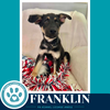 Franklin 062026 - Photo 1