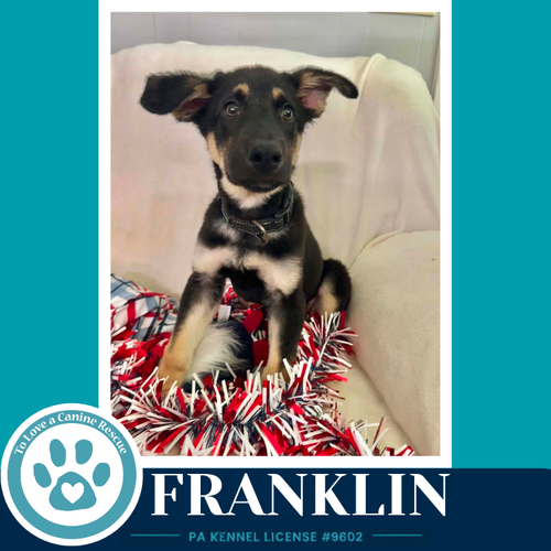 Franklin 062026