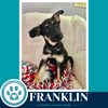 Franklin 062026 - Photo 3