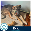 Ink (I-Team) 062026 - Photo 2