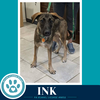 Ink (I-Team) 062026 - Photo 4