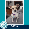 Mya 062026 - Photo 1