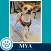 Mya 062026 - Photo 2