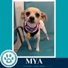 Mya 062026 - Photo 3