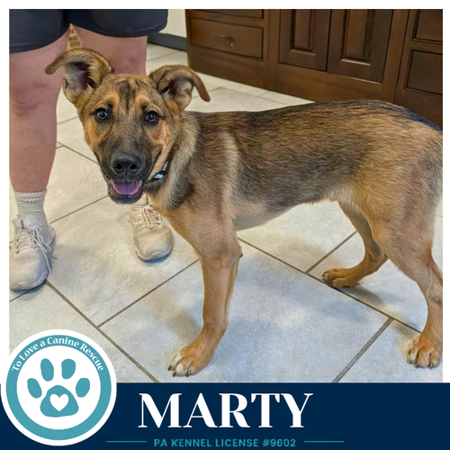 Marty (McFly Bros) 062026