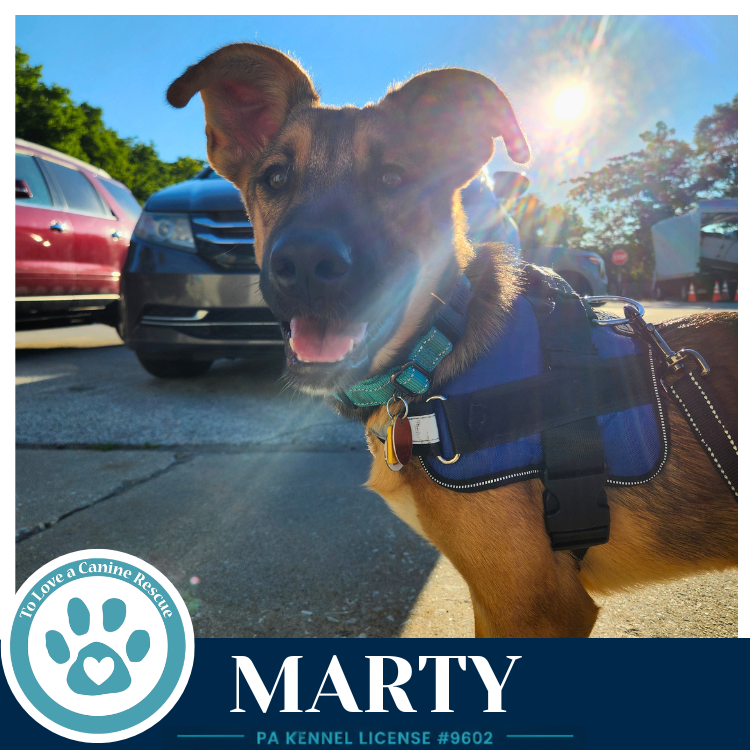 Marty (McFly Bros) 062026 Image