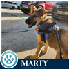Marty (McFly Bros) 062026 - Photo 4
