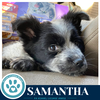 Samantha (Blue Belles) 062026 - Photo 4