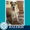 Haleigh 062026 - Photo 2