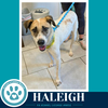Haleigh 062026 - Photo 4