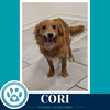 Cori 062026 - Photo 1