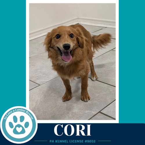 Cori 062026