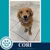 Cori 062026 - Photo 2