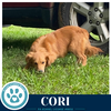 Cori 062026 - Photo 3