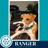 Ranger (Sweetie's Sweets) 062726 - Photo 3