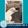 Cinnamon Bun 062726 - Photo 4