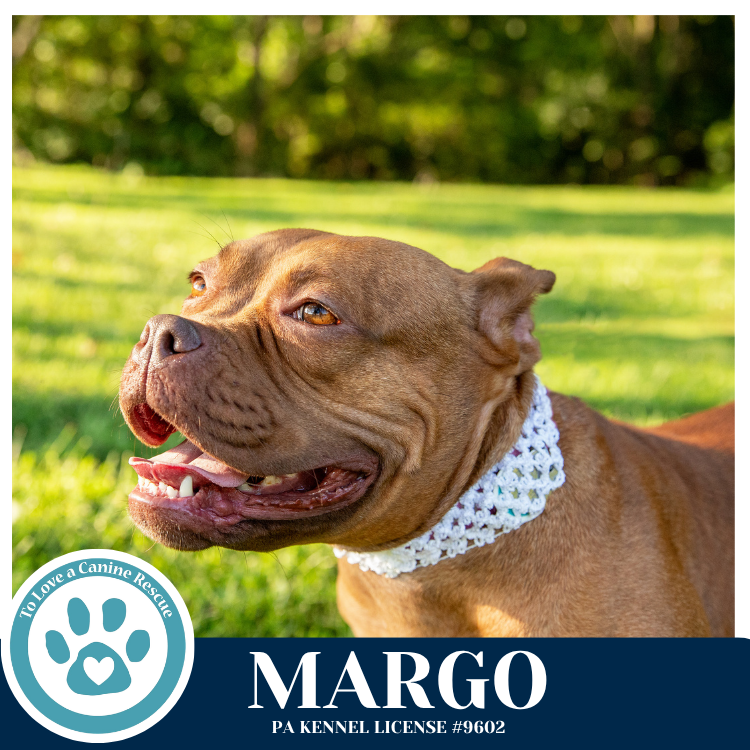 Margo 060626