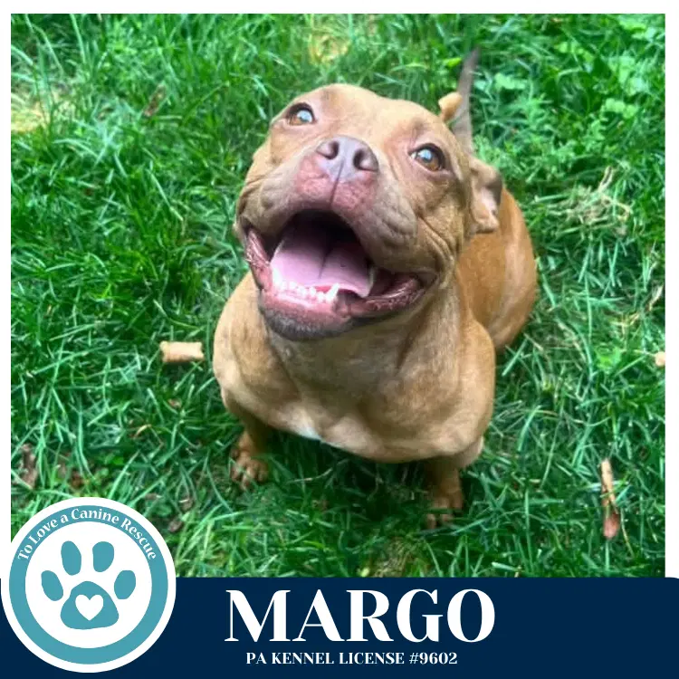 Margo image 2