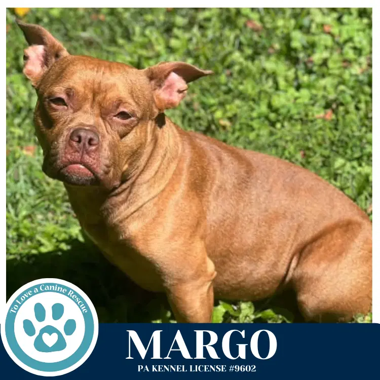 Margo image 3