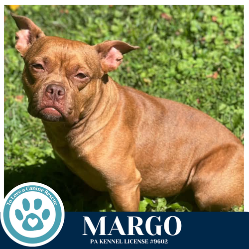 Photo 3 of Margo 060626
