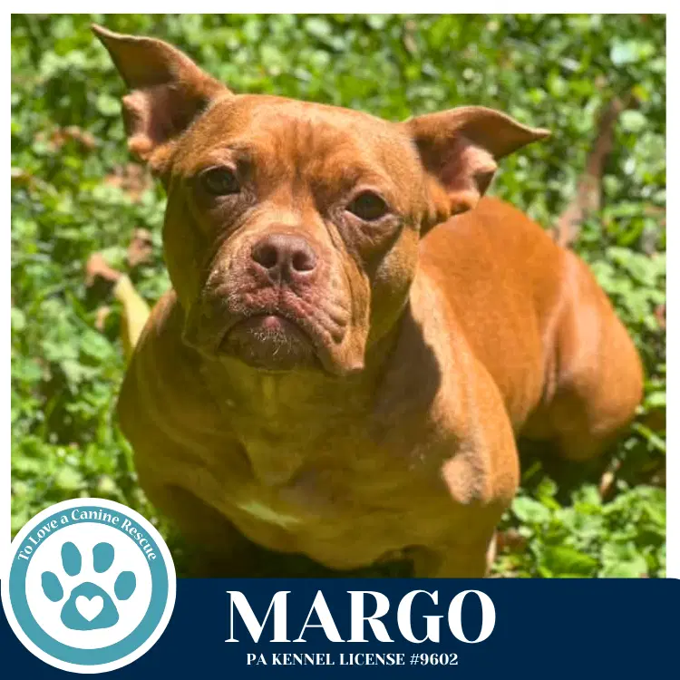 Margo image 4