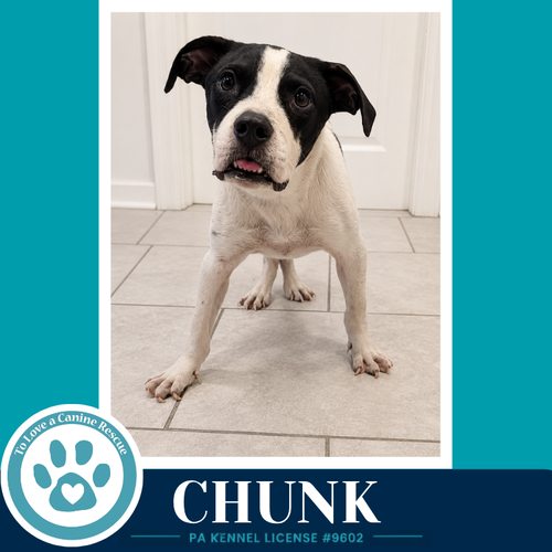 Chunk 071826