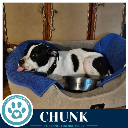 Chunk 071826 photo 3