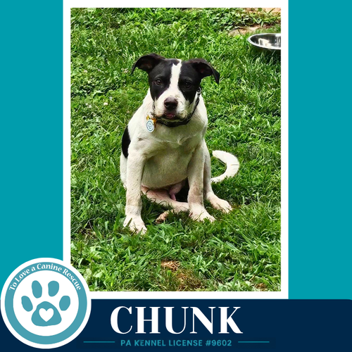 Chunk 071826 photo 4