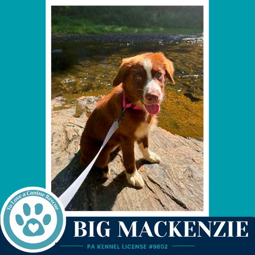 Big Mackenzie