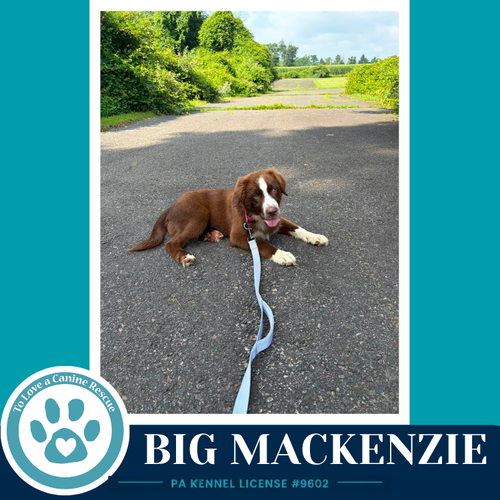 Big Mackenzie photo 2