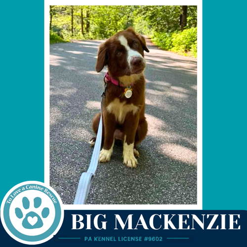 Big Mackenzie photo 3