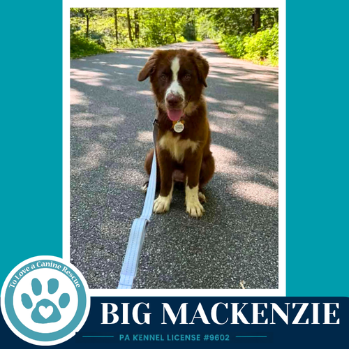 Big Mackenzie photo 4