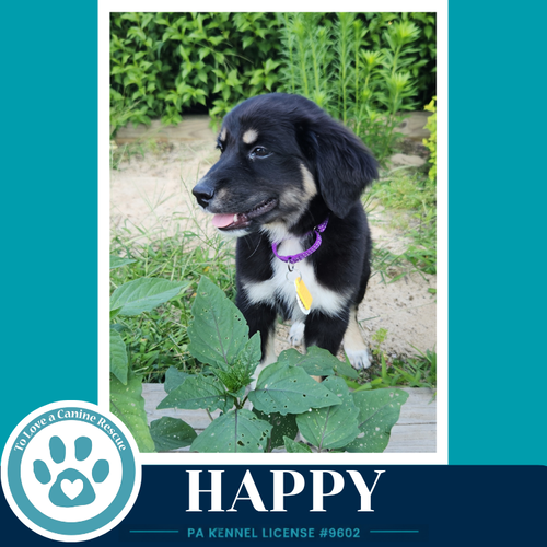 Happy photo 3