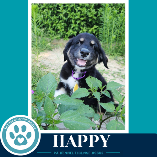 Happy photo 4
