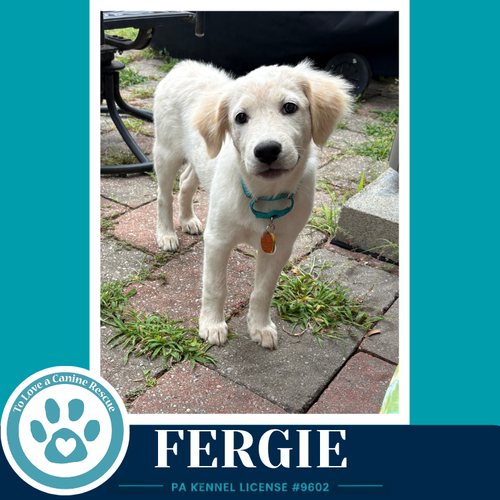 Fergie