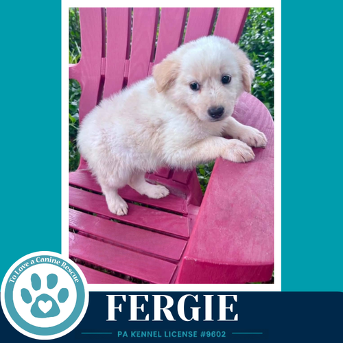 Fergie photo 4