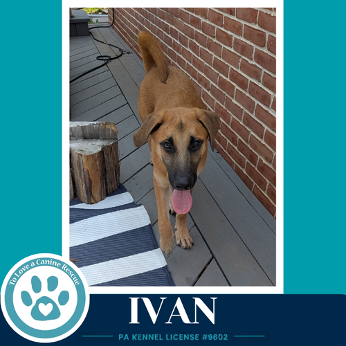 Ivan photo 2