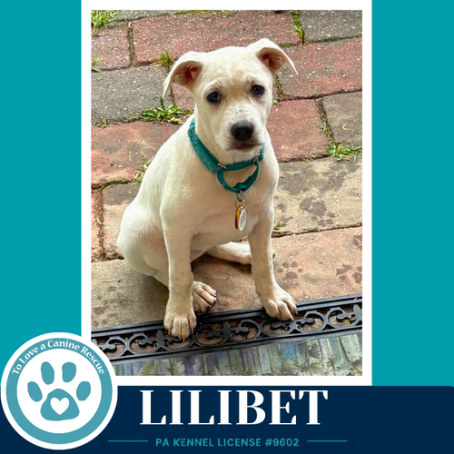 Lilibet