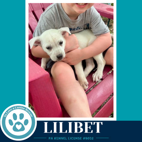 Lilibet photo 3