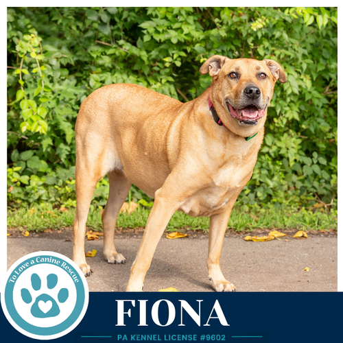 Photo 2 of Fiona