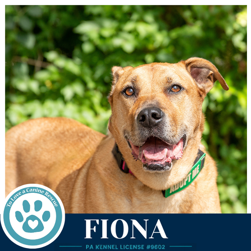 Photo 3 of Fiona