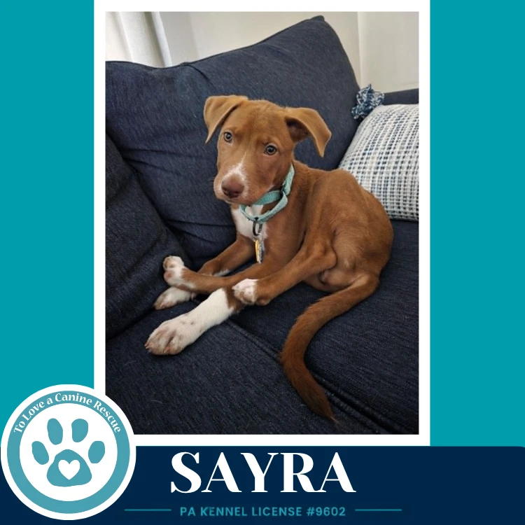 Sayra