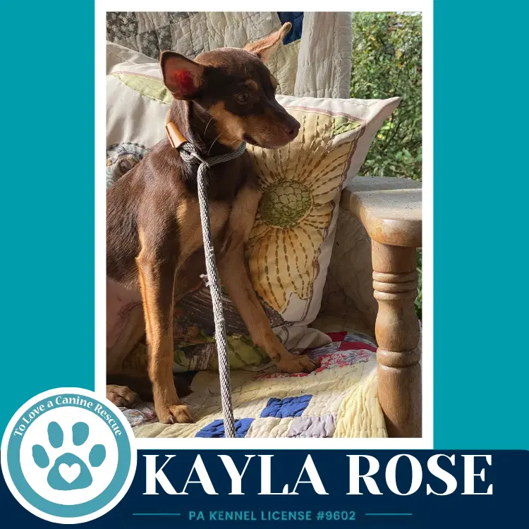 Kayla Rose image 3